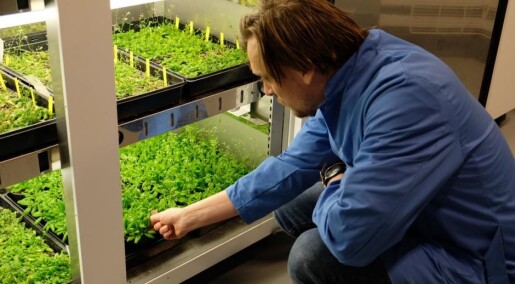 Kan GMO redde verden? Kan GMO redde verden?