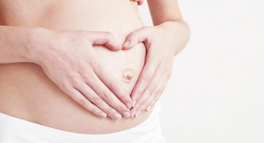 Livets ”software” – et program skrevet i eggcellen styrer embryoutviklingen