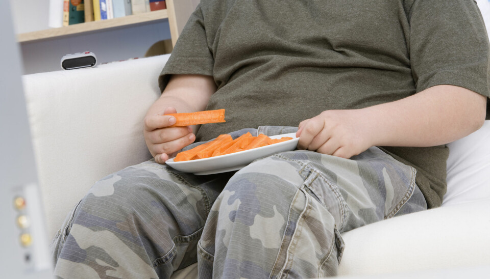 Gutter med fedme spiste mindre grønnsaker enn jenter, ifølge en norsk undersøkelse. De hadde også mer skjermtid.  (Foto: sirtravelalot / Shutterstock / NTB scanpix)