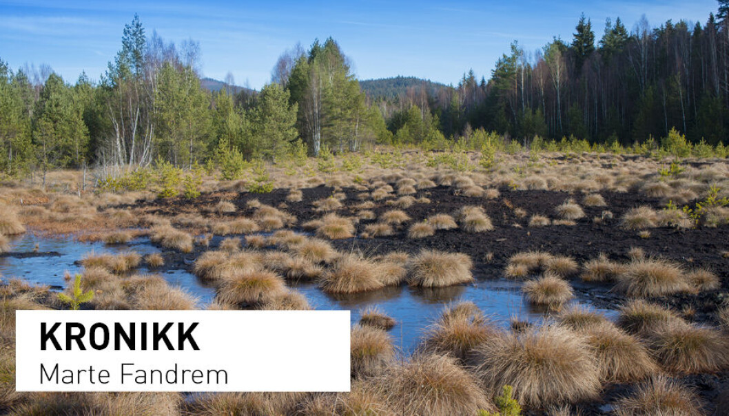 - Både tradisjonell og moderne metode for torvuttak er en hard prosess for ei myr. Spesielt industrielle torvuttak innebærer store inngrep, skriver Marte Fandrem. (Foto: Shutterstock / NTB scanpix) - Både tradisjonell og moderne metode for torvuttak er en hard prosess for ei myr. Spesielt industrielle torvuttak innebærer store inngrep, skriver Marte Fandrem. (Foto: Shutterstock / NTB scanpix)