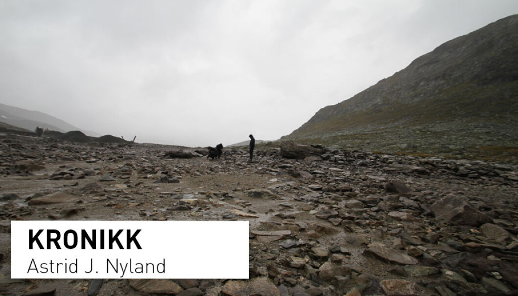 På Sulevatnet, på grensa mellom Sogn og Fjordane, Oppland og Buskerud, ligger det utvaskede steinalderboplasser. (Foto: Astrid J. Nyland) På Sulevatnet, på grensa mellom Sogn og Fjordane, Oppland og Buskerud, ligger det utvaskede steinalderboplasser. (Foto: Astrid J. Nyland)