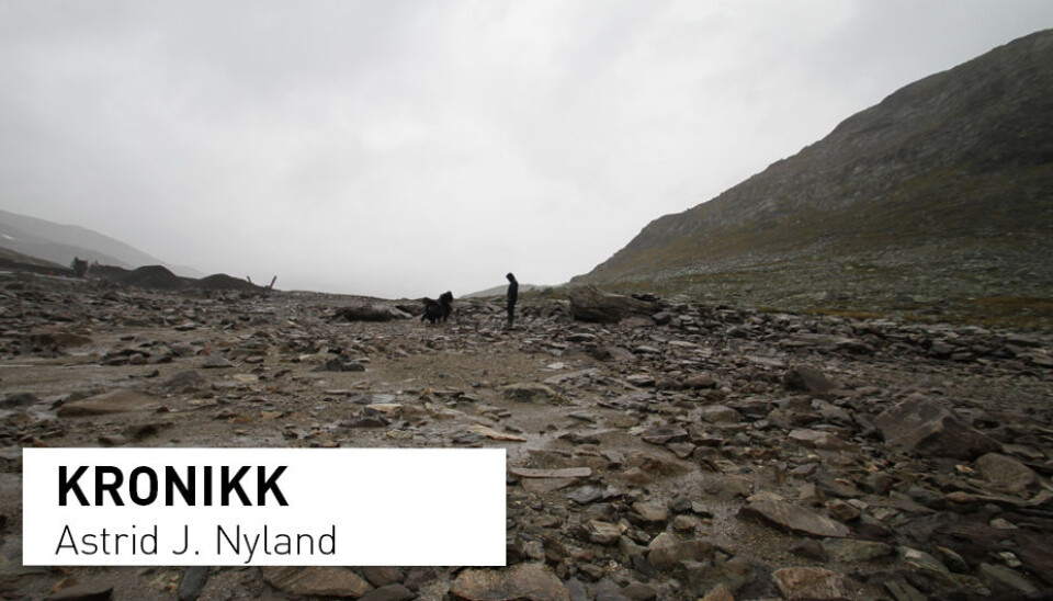 På Sulevatnet, på grensa mellom Sogn og Fjordane, Oppland og Buskerud, ligger det utvaskede steinalderboplasser. (Foto: Astrid J. Nyland)