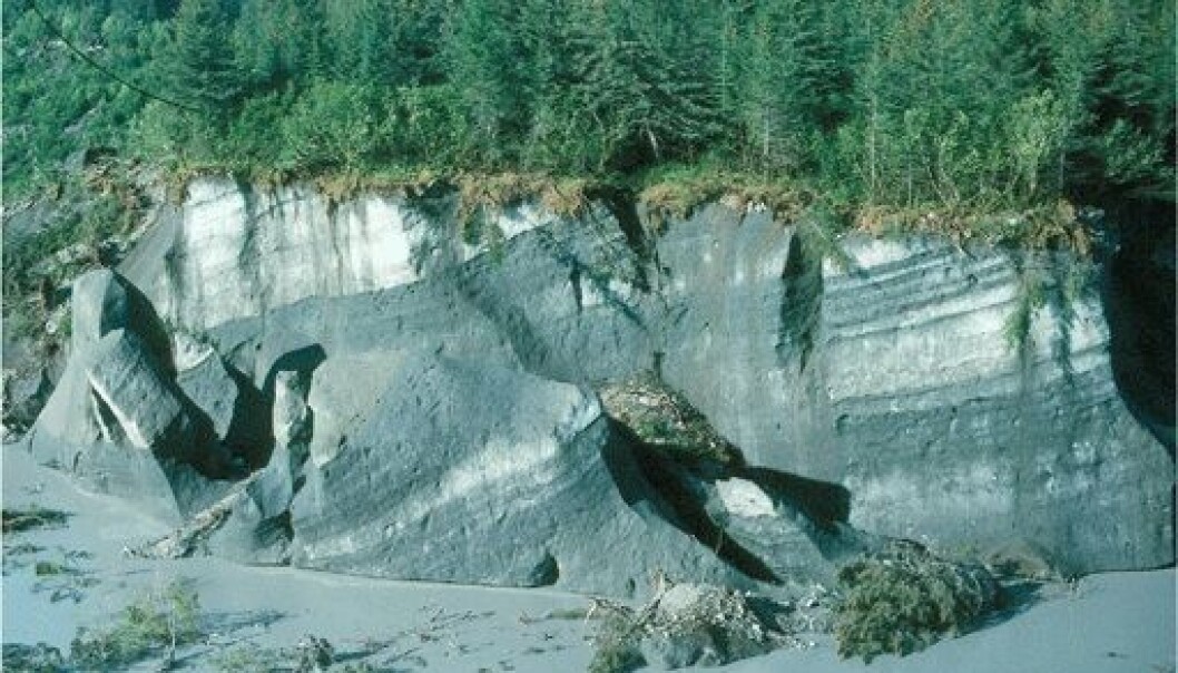 Dette er en stillestående brekant i Alaska. Skogen står oppå en gammel bre. Noen trær har falt ned fra brekanten. (Foto: USGS) Dette er en stillestående brekant i Alaska. Skogen står oppå en gammel bre. Noen trær har falt ned fra brekanten. (Foto: USGS)