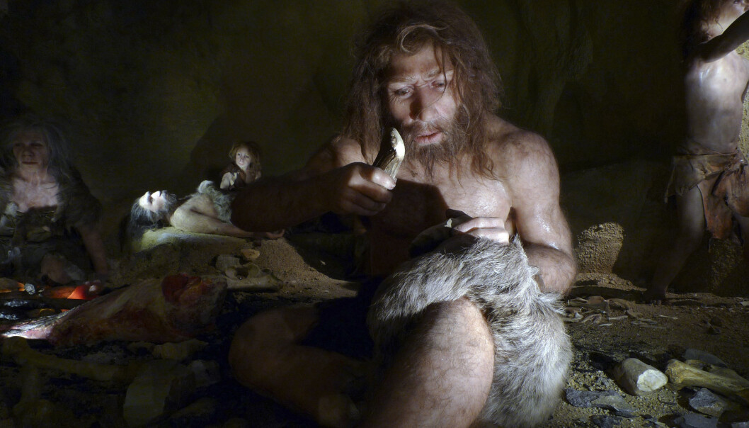 Hvordan var egentlig neandertalerhjernen? Dette er en utstilling i Kroatia, ved et svært kjent neandertaler-bosted. (Foto: REUTERS/Nikola Solic/Files/NTB Scanpix) Hvordan var egentlig neandertalerhjernen? Dette er en utstilling i Kroatia, ved et svært kjent neandertaler-bosted. (Foto: REUTERS/Nikola Solic/Files/NTB Scanpix)