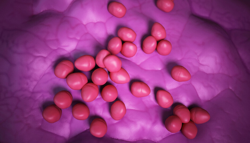 Enterokokkbakterier lever i tarmen vår og utgjør en liten del av bakteriefloraen som normalt trives der, men de kan komme inn i blodbanen og gi alvorlige infeksjoner. (Illustrasjon: Sebastian Kaulitzki / Shutterstock / NTB scanpix)