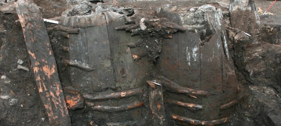 Tønner med innhold fra en gammel latrine. Tønnene ble gjerne gravd ned i jorda. (Foto: Søe mfl 2018)