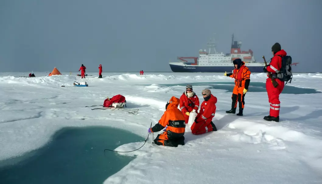 Masse mikroplast funnet i isprøver fra Arktis