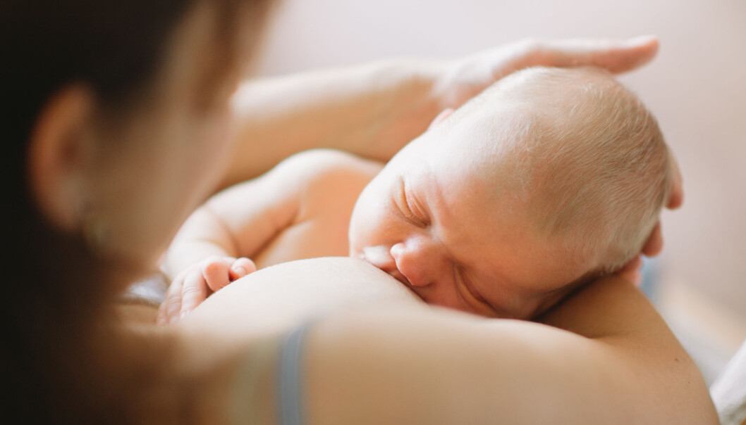 Morsmelk har vært kritisk for at spedbarn skulle overleve før, men har evolusjonen endret morsmelken for folk som lever langt i nord? (Illustrasjonsbilde: Romanova Anna / Shutterstock / NTB scanpix Morsmelk har vært kritisk for at spedbarn skulle overleve før, men har evolusjonen endret morsmelken for folk som lever langt i nord? (Illustrasjonsbilde: Romanova Anna / Shutterstock / NTB scanpix