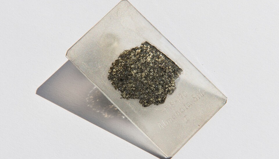 En bit av Almahata Sitta-meteoritten fra Sudan. Her fant forskerne diamanter med en lang og spennende historie. (Foto: Hillary Sanctuary)