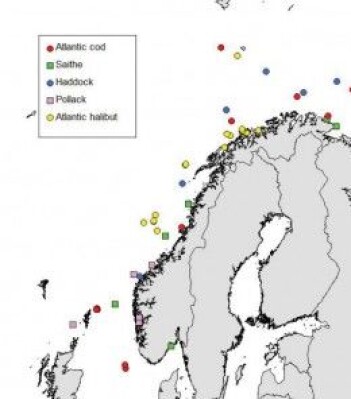 Kartet viser kor forskarane tok prøvane frå. Kartet viser kor forskarane tok prøvane frå.