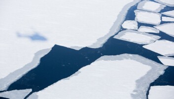 Sårbar is i Arktis etter varmerekord