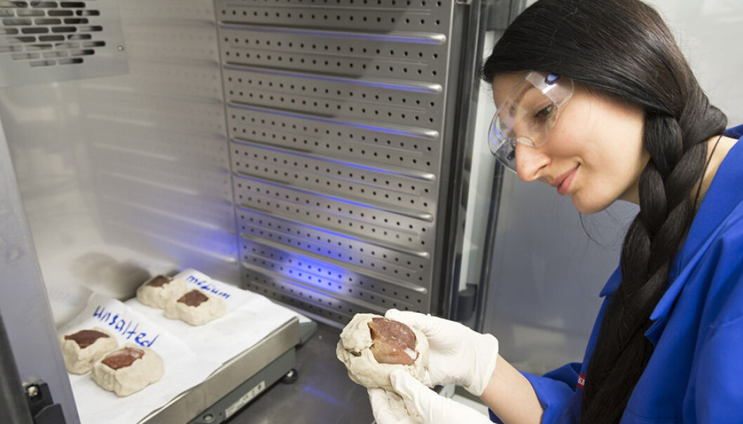 Forsker har oppdaget hvordan vi kan forutsi nøyaktig når spekeskinka er ferdig modnet. (Foto: Thor Nielsen, Sintef) Forsker har oppdaget hvordan vi kan forutsi nøyaktig når spekeskinka er ferdig modnet. (Foto: Thor Nielsen, Sintef)