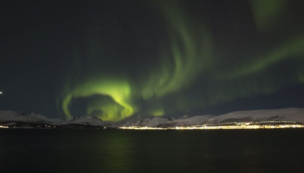 En av nordlysets kulører er grønn, som oftest opptrer i nord. (Foto: David Jensen) En av nordlysets kulører er grønn, som oftest opptrer i nord. (Foto: David Jensen)