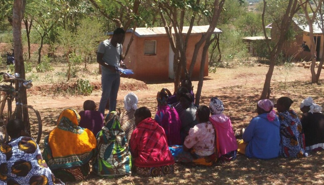 En ny undersøkelse blant bønder i Tanzania viser at mange er positive å bruke genmodifiserte frø og planter i produksjonen sin. (Foto: Julius Nyalusi) En ny undersøkelse blant bønder i Tanzania viser at mange er positive å bruke genmodifiserte frø og planter i produksjonen sin. (Foto: Julius Nyalusi)