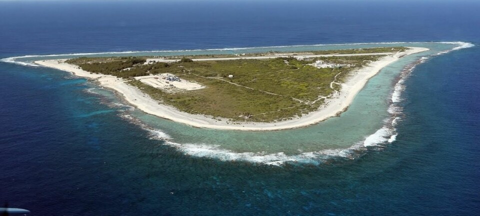 Koralløya Minamitori er bare 1 kvadratkilometer stor. Likevel setter den Japan i stand til å legge krav på et nesten 430 000 kvadratkilometer stort havområde i det vestlige Stillehavet. (Foto: Buffalo University)