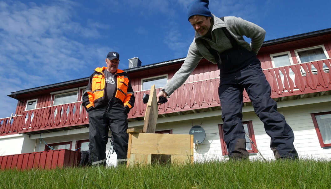 Eivind Hansen (til venstre) har bygd spesialdesignede fuglehus som gir ea beskyttelse mot eggrøverne. Thomas Holm Carlsen (til høyre) inspiserer taket som kan vippes opp. Det forenkler jobben med å klargjøre husene før neste hekkesesong. Samtidig er det langt enklere for forskerne å hente ut ea fra taket, enn å lure henne ut inngangen. (Foto: Liv Jorunn Hind) Eivind Hansen (til venstre) har bygd spesialdesignede fuglehus som gir ea beskyttelse mot eggrøverne. Thomas Holm Carlsen (til høyre) inspiserer taket som kan vippes opp. Det forenkler jobben med å klargjøre husene før neste hekkesesong. Samtidig er det langt enklere for forskerne å hente ut ea fra taket, enn å lure henne ut inngangen. (Foto: Liv Jorunn Hind)