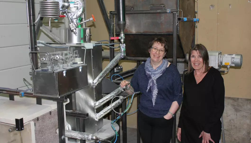 Forskerne Britt Margrethe Emilie Moldestad og Marianne Sørflaten Eikeland ved Høgskolen i Sørøst-Norge har fått 9,9 millioner kroner til å forske på omdanning av biomasse til biodrivstoff.  (Foto: HSN)