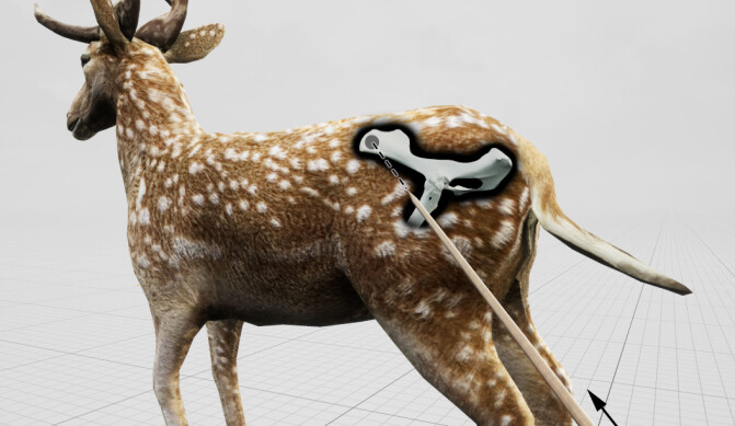 Dette er en rekonstruksjon av hvordan spydet traff en av hjortene i hoftebenet. (Bilde: Eduard Pop, MONREPOS Archaeological Research Centre and Museum for Human Behavioural Evolution, Römisch-Germanisches Zentralmuseum, Leibniz-Researchinstitute for Archaeology) Dette er en rekonstruksjon av hvordan spydet traff en av hjortene i hoftebenet. (Bilde: Eduard Pop, MONREPOS Archaeological Research Centre and Museum for Human Behavioural Evolution, Römisch-Germanisches Zentralmuseum, Leibniz-Researchinstitute for Archaeology)