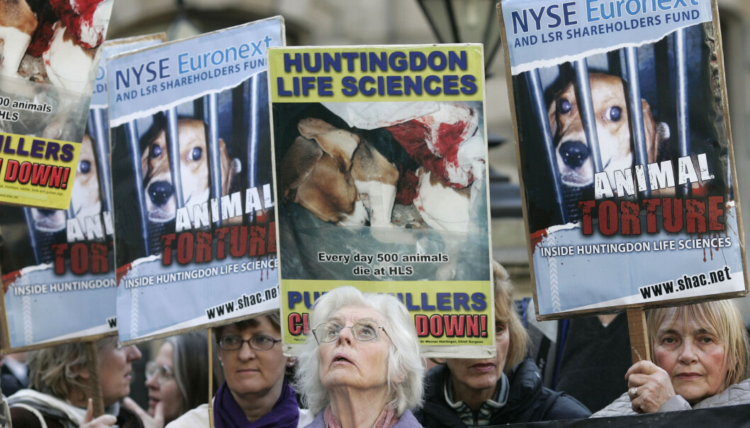Stop Huntingdon Animal Cruelty (SHAC) er en protestkampanje som ble opprettet i 1999 i Storbritannia. Politiet klarte å stoppe dem, men på en måte som har gjort det vanskeligere for engasjerte folk å protestere i dag. (Foto: (AP / Sang Tan / NTB Scanpix) Stop Huntingdon Animal Cruelty (SHAC) er en protestkampanje som ble opprettet i 1999 i Storbritannia. Politiet klarte å stoppe dem, men på en måte som har gjort det vanskeligere for engasjerte folk å protestere i dag. (Foto: (AP / Sang Tan / NTB Scanpix)