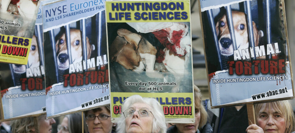 Stop Huntingdon Animal Cruelty (SHAC) er en protestkampanje som ble opprettet i 1999 i Storbritannia. Politiet klarte å stoppe dem, men på en måte som har gjort det vanskeligere for engasjerte folk å protestere i dag. (Foto: (AP / Sang Tan / NTB Scanpix)