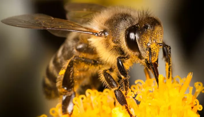 Bier minner mer om mennesker enn man kanskje nettopp tror.