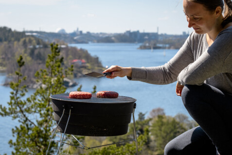 Karbonade gravid Karbonade gravid