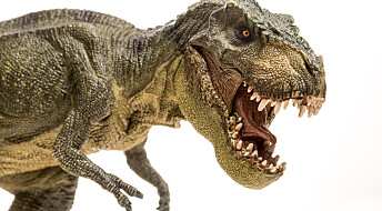 Dette bildet er feil: T-Rex kunne ikke rekke tunge