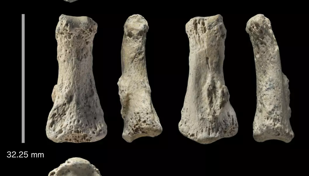 Fant 85 000 år gammel finger i Saudi-Arabia