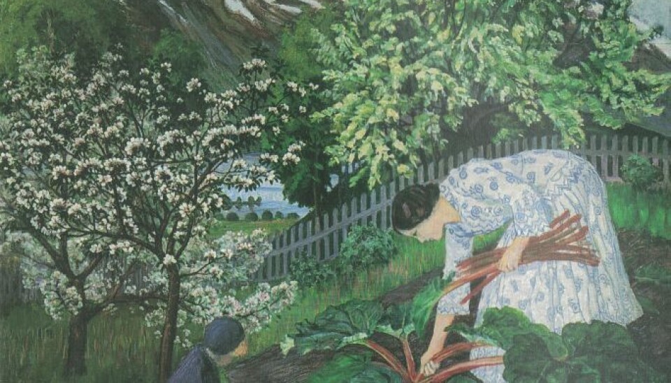 Rabarbra er et av de mest kjente Astrup-malerier fra hagen i Jølster. (Bilde: Nikolai Astrup / Wikimedia commons)