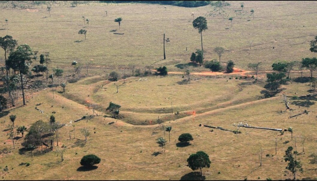 En av geoglyfene som finnes sør i Amazonas. (Bilde: University of Exeter) En av geoglyfene som finnes sør i Amazonas. (Bilde: University of Exeter)