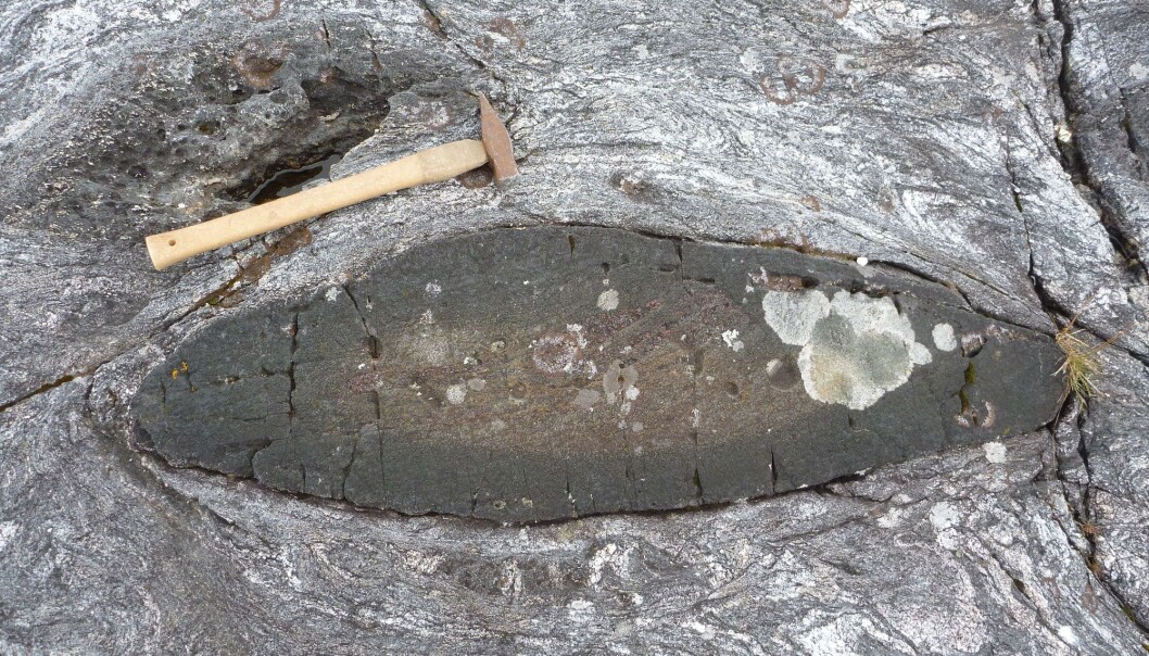 Har du sett dem? De små mørke bitene som finnes rundt i gneisene på Vestlandet - er du heldig finner du bevart eklogitt i kjernen av dem. (Foto: Ane K. Engvik) Har du sett dem? De små mørke bitene som finnes rundt i gneisene på Vestlandet - er du heldig finner du bevart eklogitt i kjernen av dem. (Foto: Ane K. Engvik)