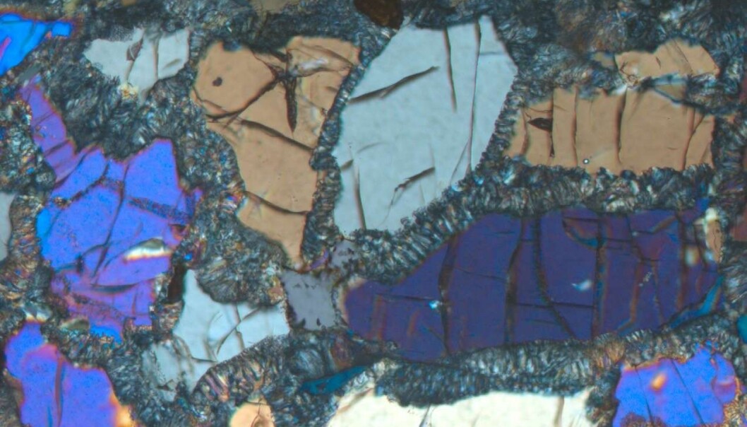 Her ser du eklogitt under mikroskopet. De fargerike krystallene er pyroksen-mineralet omfasitt karakteristisk for bergarten. (Foto: Ane K. Engvik) Her ser du eklogitt under mikroskopet. De fargerike krystallene er pyroksen-mineralet omfasitt karakteristisk for bergarten. (Foto: Ane K. Engvik)