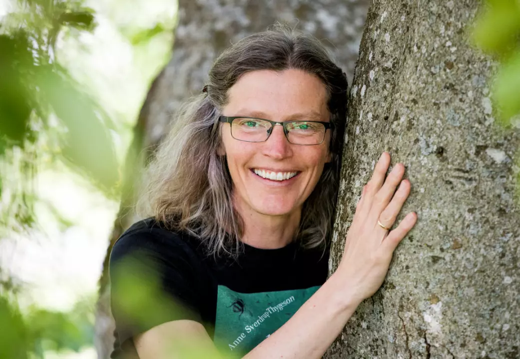 Professor Anne Sverdrup-Thygeson. (Foto: NMBU)
