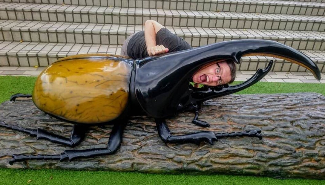 Anne Sverdrup-Thygeson på insektsmuseum i Japan. (Foto: Privat) Anne Sverdrup-Thygeson på insektsmuseum i Japan. (Foto: Privat)