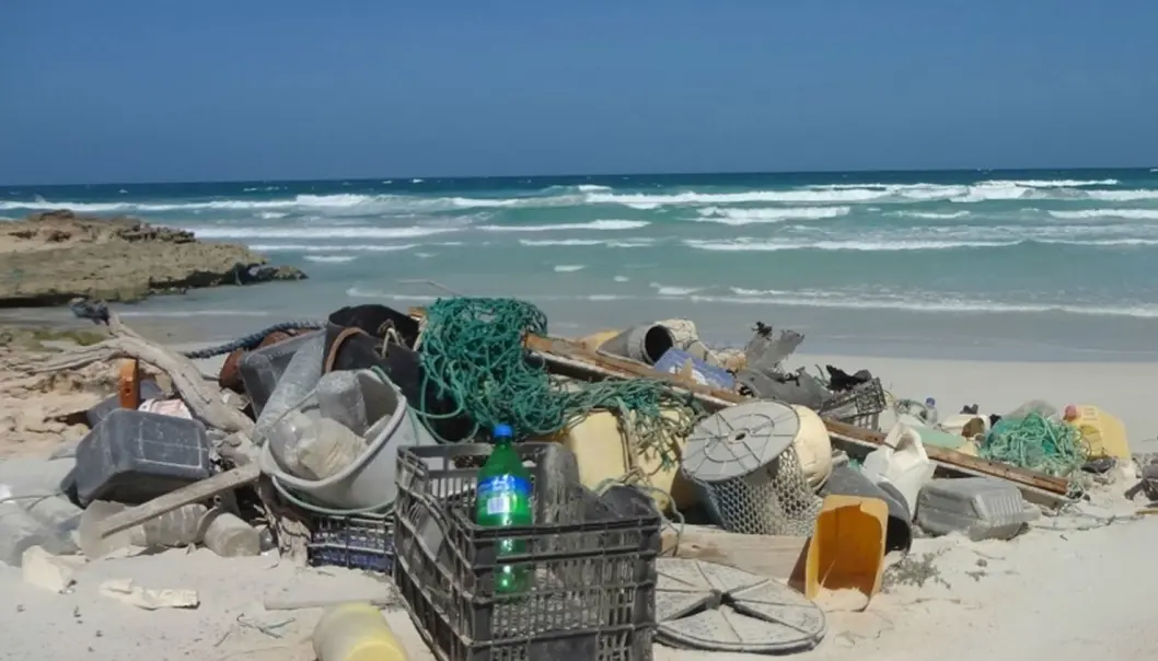 Plast har en spesiell lyssignatur i infrarødt lys. I dag benyttes dette blant annet på samlebånd som skiller plastsøppel fra andre typer avfall. Denne signaturen kan også satellitter oppdage. (Foto: J. Veiga) Plast har en spesiell lyssignatur i infrarødt lys. I dag benyttes dette blant annet på samlebånd som skiller plastsøppel fra andre typer avfall. Denne signaturen kan også satellitter oppdage. (Foto: J. Veiga)