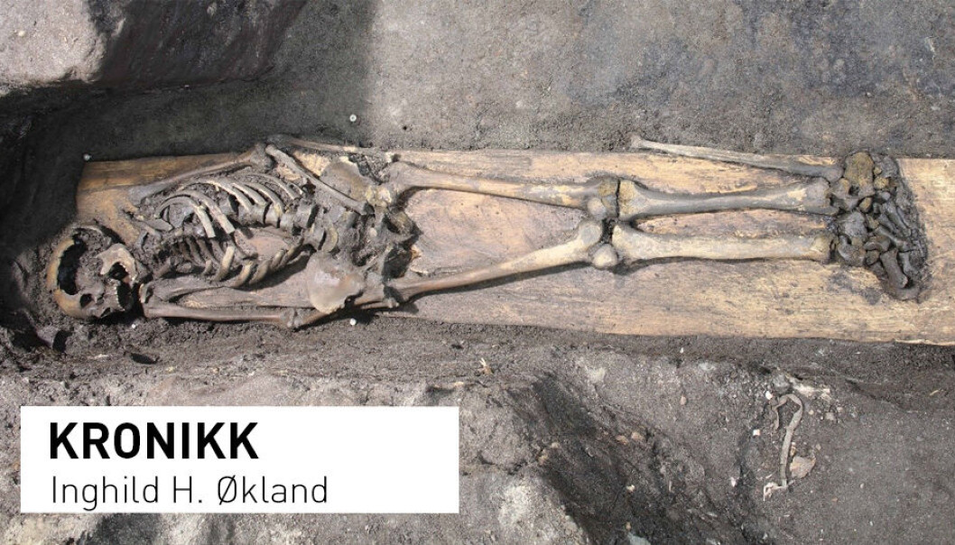 Et nesten komplett skjelett, 800-900 år gammelt, ble funnet bevart i en kiste i Klemenskirken i Trondheim. (Foto: NIKU) Et nesten komplett skjelett, 800-900 år gammelt, ble funnet bevart i en kiste i Klemenskirken i Trondheim. (Foto: NIKU)