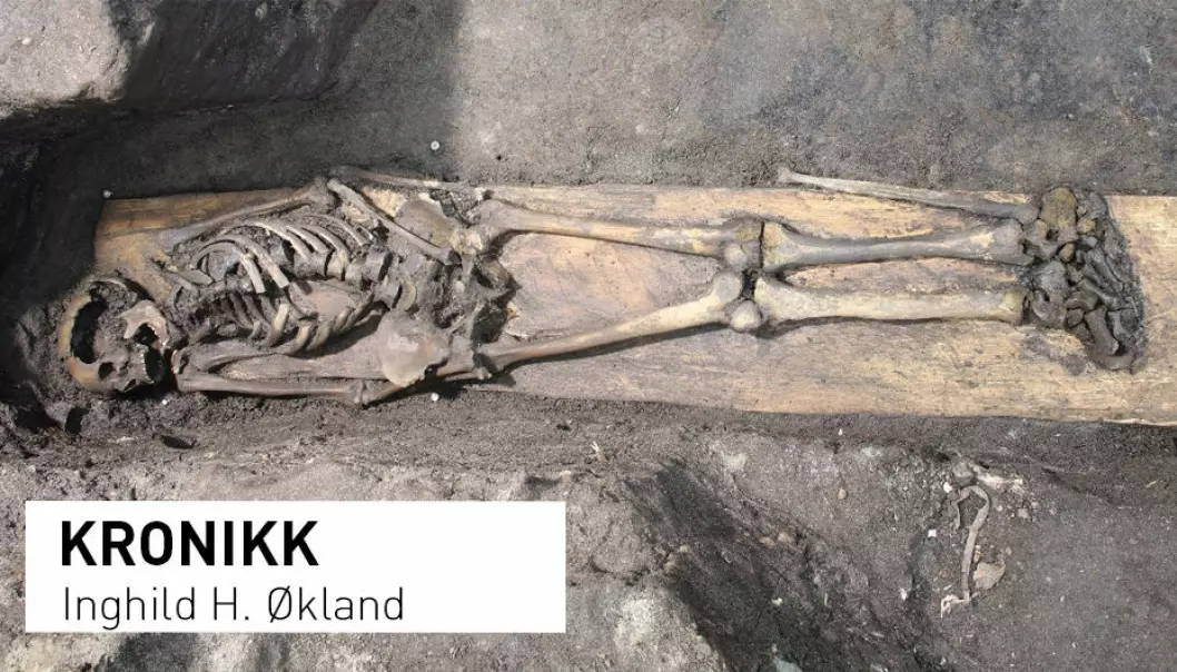 Et nesten komplett skjelett, 800-900 år gammelt, ble funnet bevart i en kiste i Klemenskirken i Trondheim. (Foto: NIKU)