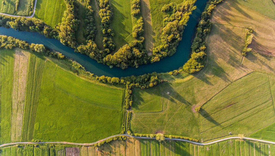 Nitrogen flyter fra jordene og ut i elver og vannløp, og videre ut i Østersjøen. Nitrogenet gir næring til alger som kan ta opp alt oksygenet i havet. (Foto: Bizi88 / Shutterstock / NTB scanpix) Nitrogen flyter fra jordene og ut i elver og vannløp, og videre ut i Østersjøen. Nitrogenet gir næring til alger som kan ta opp alt oksygenet i havet. (Foto: Bizi88 / Shutterstock / NTB scanpix)