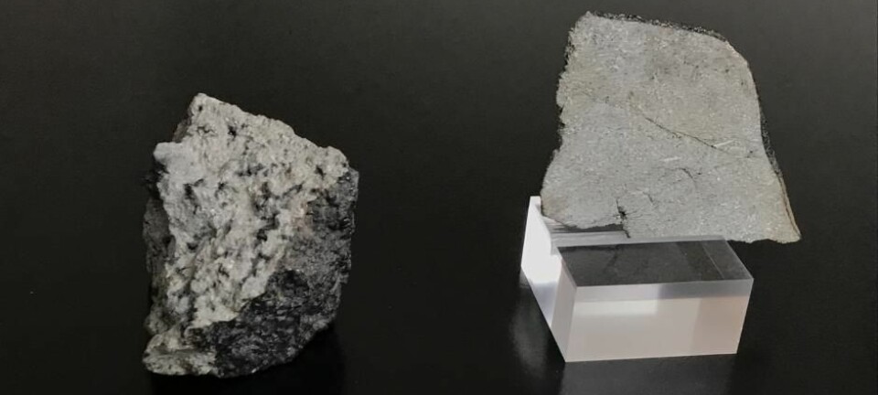 En rekke steiner fra rommet, inkludert disse to Mars-meteorittene fra Statens Naturhistoriske Museum i København, er hovedpersoner i en ny studie som kan fortelle mer om hvordan planeter blir til.  (Foto: Martin Schiller)