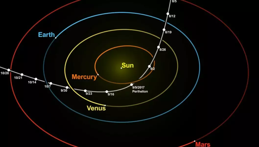 Slik var Oumuamuas bane rundt solen. Den kom inn øverst i bildet langs den hvite linjen, og gikk ut til venstre i bildet. Bildet er laget basert på data fra JPL Horizons. (Bilde: nagualdesign; Tomruen/CC BY-SA 4.0)