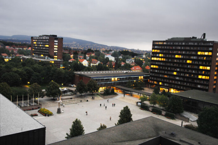 Universitetet i Oslo, campus Blindern. Stedsnavnforskerne har kontorer litt utenfor området. De er bekymret for fagfremtiden. (Foto: Ola Sæther) (Foto: Ola Sæther) Universitetet i Oslo, campus Blindern. Stedsnavnforskerne har kontorer litt utenfor området. De er bekymret for fagfremtiden. (Foto: Ola Sæther) (Foto: Ola Sæther)