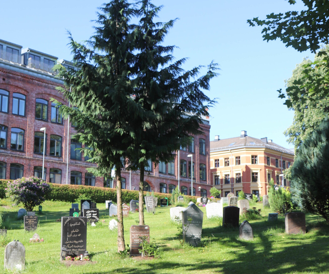 Et område av Gamlebyen gravlund er reservert for muslimske graver, og en koptisk menighet med medlemmer fra Etiopia leier for tiden kapellet oppe på høyden av lunden. (Foto: Tove Rømo Grande) Et område av Gamlebyen gravlund er reservert for muslimske graver, og en koptisk menighet med medlemmer fra Etiopia leier for tiden kapellet oppe på høyden av lunden. (Foto: Tove Rømo Grande)