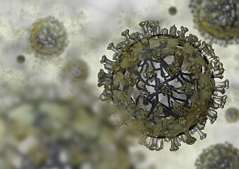 Influensavirus. (Foto: Colourbox)