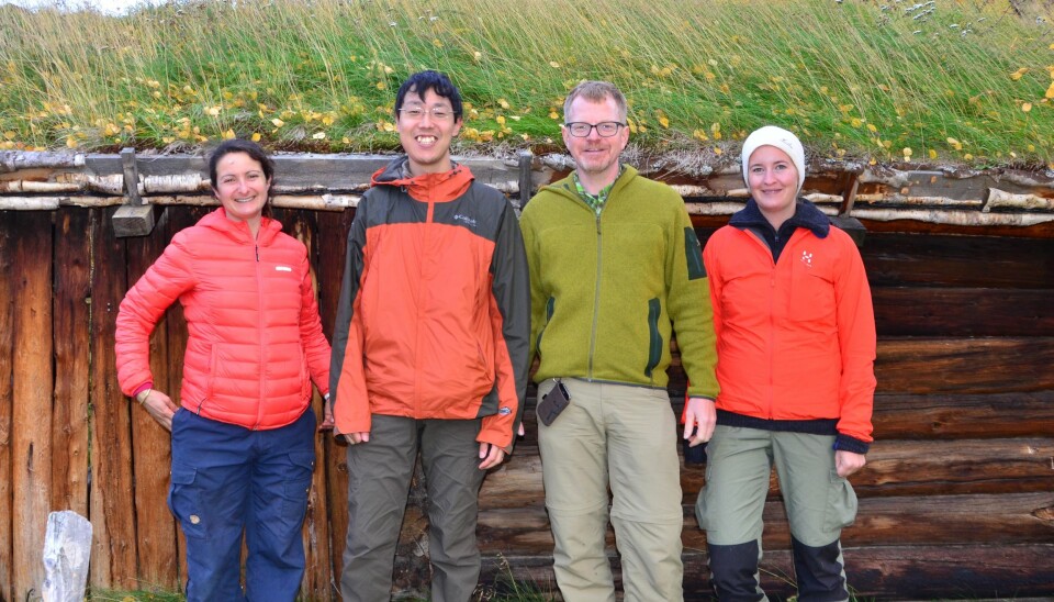 Forskerne i feltarbeid i regi av Artsdatabanken, i Dividalen høsten 2015. Fra venstre: Amandine Deschamps (botaniker), Yudai Okuyama, Jostein Kjærandsen, Trude Magnussen (PhD-stipendiat NHMO). (Foto: privat)