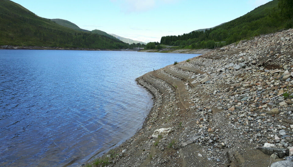 Vasslivatnet i Orkanger er en av mange innsjøer som brukes som kraftmagasin. (Foto: Antti Eloranta/NINA)
