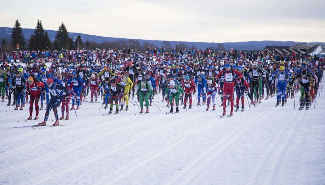 Det er voksne menn med penger og utdannelse som fyller skiløypene mellom Rena og Lillehammer. (Foto: Geir Olsen) Det er voksne menn med penger og utdannelse som fyller skiløypene mellom Rena og Lillehammer. (Foto: Geir Olsen)