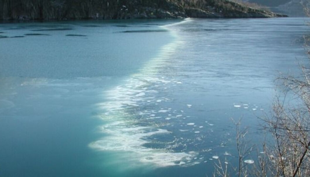 Her ser du boblegardin brukt i Holandsfjorden i Nordland for å hindre isdannelse. (Foto: Sintef) Her ser du boblegardin brukt i Holandsfjorden i Nordland for å hindre isdannelse. (Foto: Sintef)
