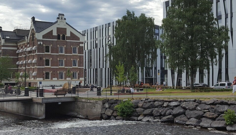 Nydalen er ett av mange fortettingsområder i Oslo. Her sameksisterer flere av de gamle industribygningene med moderne strukturer med stor arealutnyttelse. (Foto: NIKU)