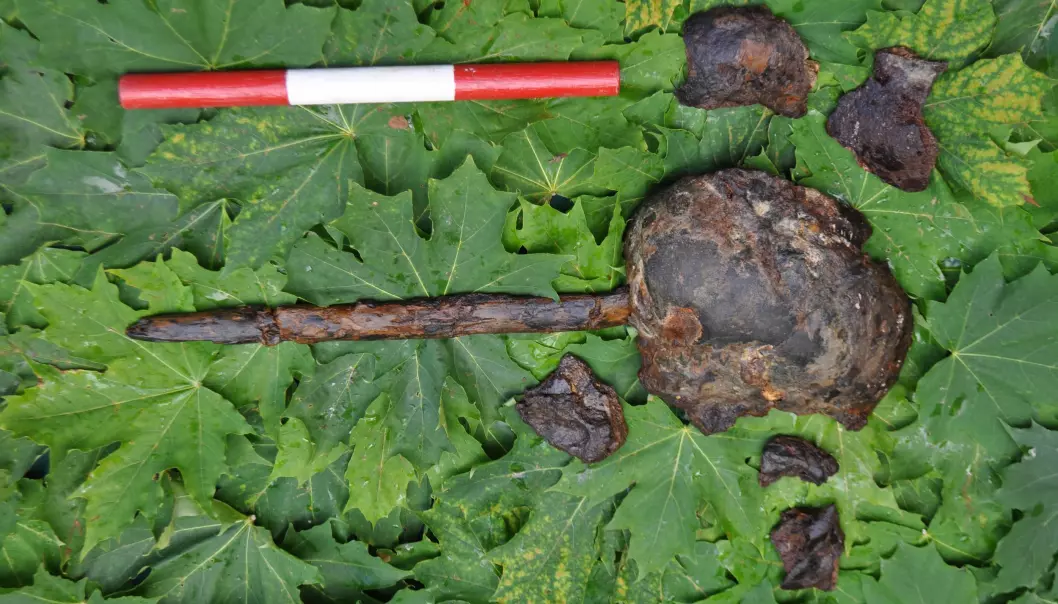 Denne skallen ble satt på en stake ved en svensk innsjø for over 7500 år siden