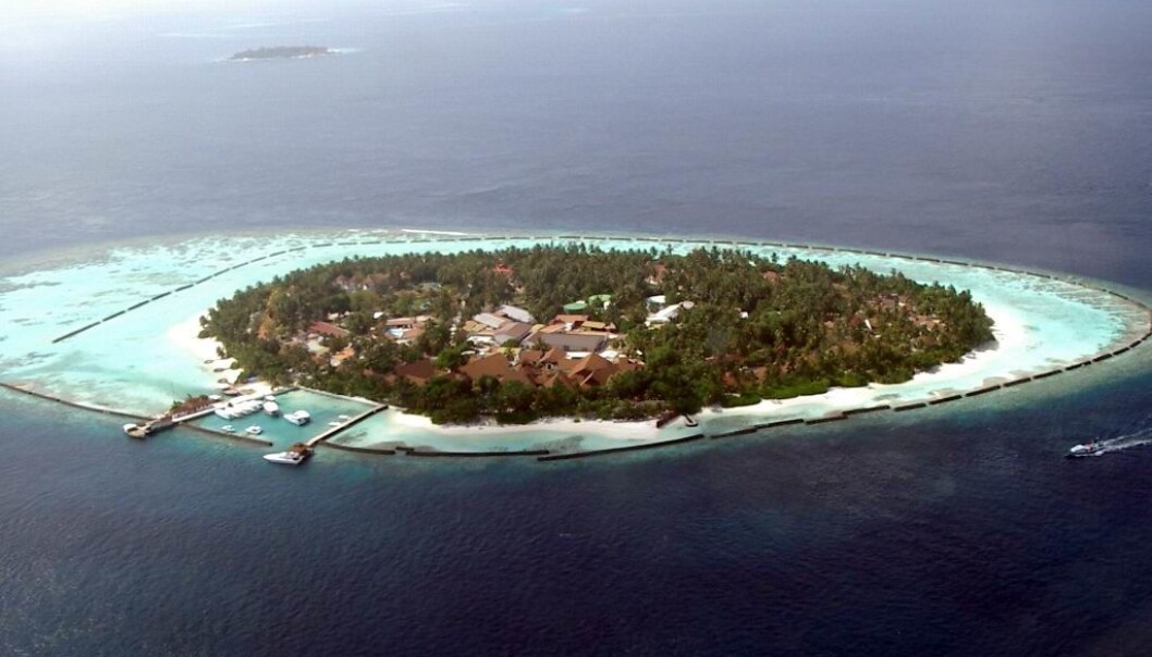 En øy i Maldivene med et tydelig korallrev rundt. (Foto: PalawanOz) En øy i Maldivene med et tydelig korallrev rundt. (Foto: PalawanOz)